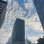 サイアム セラドン - 空は秋に！