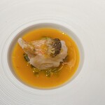 トムクリオーザ - 