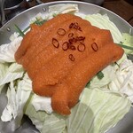 博多 もつ楽 - 