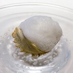 オットセッテ トマム - 泡で包んだ蟹とフィノッキオの爽やかな香り