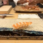 屋形船 鮨 おりがみ - 