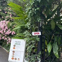 表参道バンブー - 