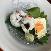 京料理 先斗町 富美家 - 