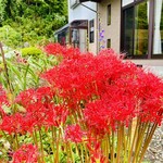 農家手打ちそば きさく苑 - 