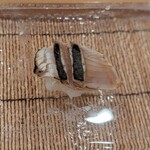 金澤 鮨 洋次郎 - 柳鰆