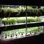 ホテル&スパ センチュリーマリーナ 函館 - 