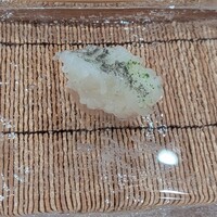 金澤 鮨 洋次郎 - イカ