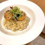 オーシャン ハーベスト ココモ - 