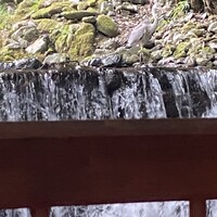 貴船べにや - 