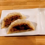 hide mode - 餃子 202509