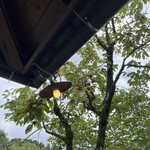 そば処 山の幸館 - 