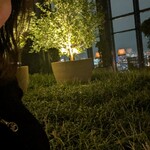 ブルガリ バー - 