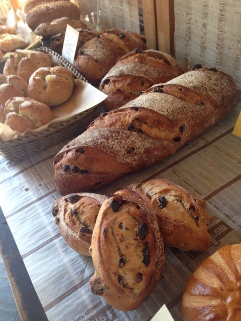 Cake Kobo Herb Pot photo 4