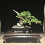 かにじぇんぬ　麻布 - 