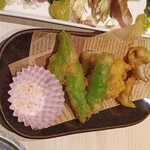 イザカヤ トモ - 