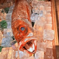 のどぐろ専門 銀座 中俣 - 