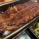 うなぎ四代目菊川 立川GREEN SPRINGS店 - 