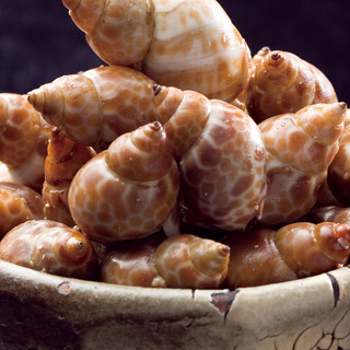 焼鳥 ダルム屋_2