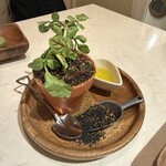 かまくら個室ビストロ KAMAKURA - 