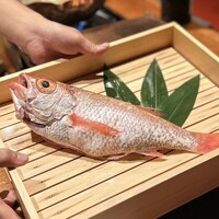 のどぐろ専門 銀座中俣 極 - 紅瞳