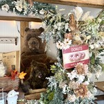 Little Bear Meister - 