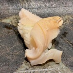 寿司割烹 魚紋 - ツブ貝