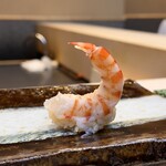 THE SUSHI TOKYO 旬 - 