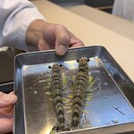 THE SUSHI TOKYO 旬 - 