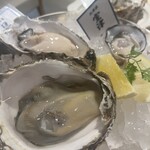 MICHI FISH&OYSTER - 