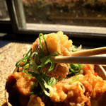 築港麺工房 - 出汁の効いた丼汁と葱が鶏天の美味さを引き立てます。