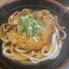 道楽うどん - 料理写真: