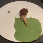 プレゼンテ スギ - 