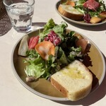 アマルフィイ デラセーラ - 