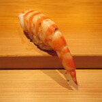 鮨 さかい - 車海老(熊本天草)