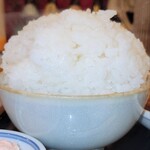 柳小路 - 