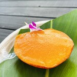 光楽園 - フローズンマンゴーψ(｀∇´)ψ