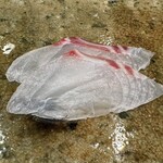 神田錦町 鮨たか晴 - 真鯛