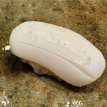 神田錦町 鮨たか晴 - 新烏賊