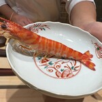 神田錦町 鮨たか晴 - Food Presentation（車海老）