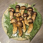 USHIGORO S. - 本日の食材 松茸