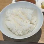 炭火焼肉ホルモン 朱朱 - 