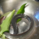 チニャーレエノテカ - 