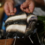 チニャーレエノテカ - 