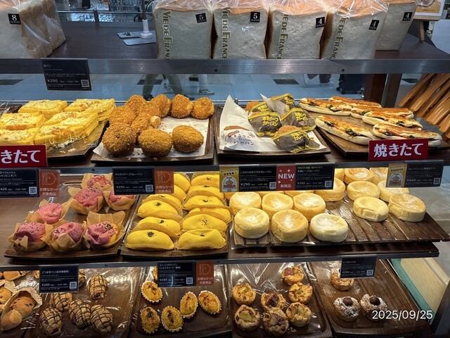 VIE DE FRANCE Apia Ten photo 2