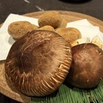 YORONIKU TOKYO AZABUDAIHILLS - 