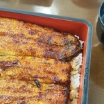 水産センター - 