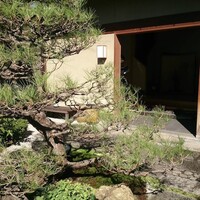 平等院表参道 竹林 - 