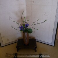 平等院表参道 竹林 - 