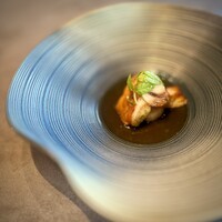 TSUSHIMI - ヤマドリダケモドキ