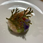 said'or - 甘海老とアスパラのタルタル